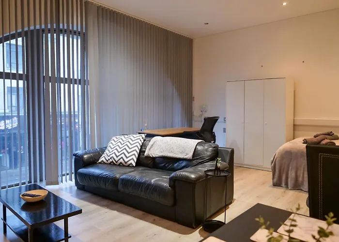 Spacious And Modern Studio Apartment Swansea City Centre